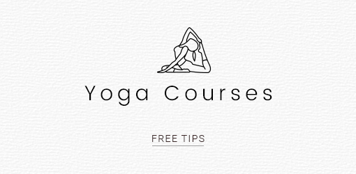 Enroll - Multipurpose Responsive Shopify Theme (Sections Ready)